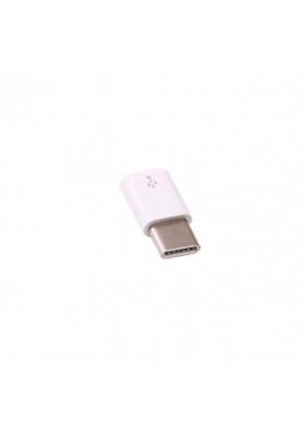 Raspberry Pi USB Micro-B to USB-C adapter *10